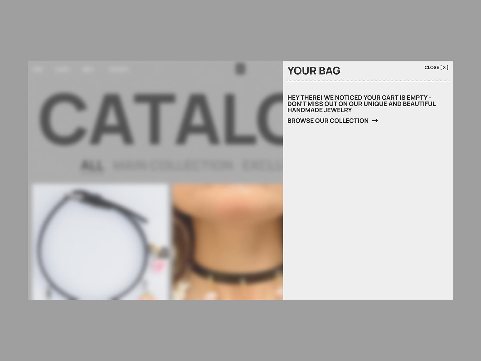 Shopping bag drawer showing an empty cart message